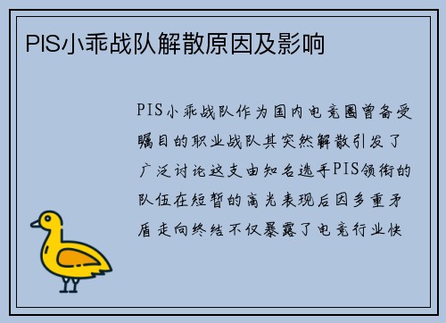 PIS小乖战队解散原因及影响